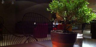 De Perú a Barcelona en el nuevo restaurante Tanta