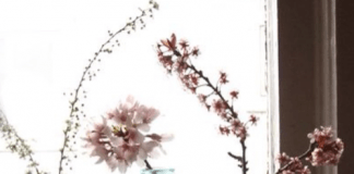 3 ideas originales para tener flores en casa