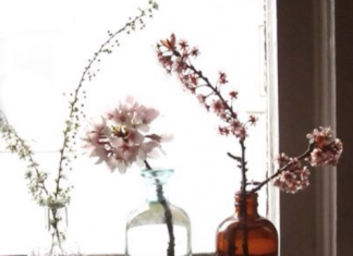 3 ideas originales para tener flores en casa