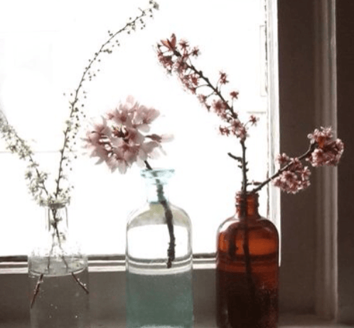 3 ideas originales para tener flores en casa