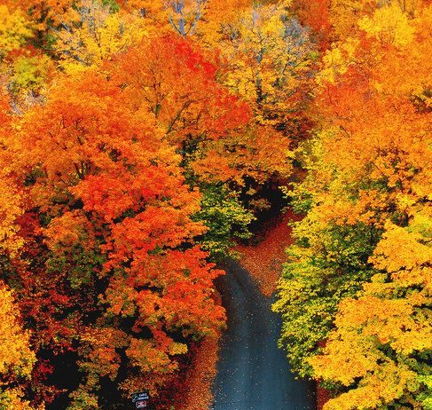 4 escapadas de otoño #daciate
