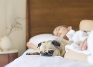 6 Trucos para dormir mejor dormir mejor