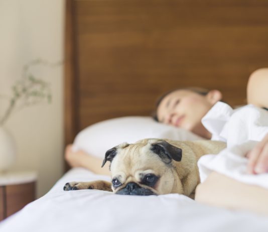 6 Trucos para dormir mejor dormir mejor