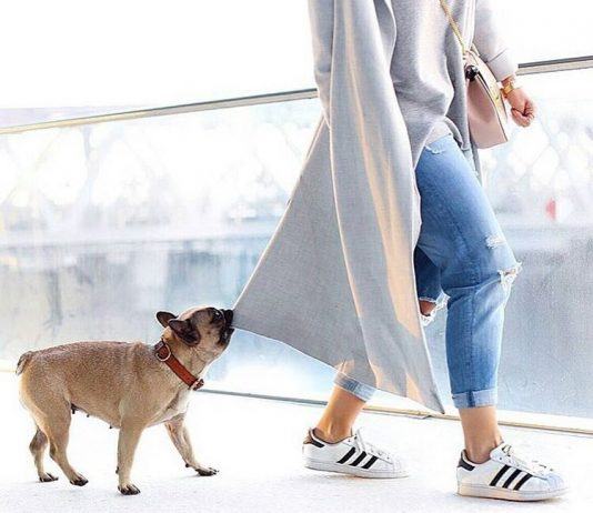 5 looks de la semana