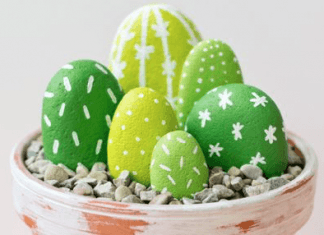 DIY: Diseña tus cactus más coquetos