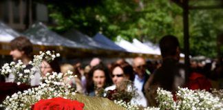 ¿Qué hacemos por Sant Jordi?