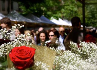 ¿Qué hacemos por Sant Jordi?