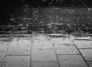 Escucha nuestra playlist para días de lluvia