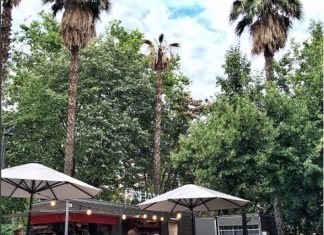 Brunch en Pinhan en medio del turó Park