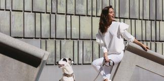 Venta especial de los collares y correas para perros más in del momento BROTT BARCELONA