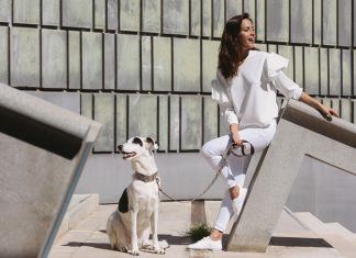 Venta especial de los collares y correas para perros más in del momento BROTT BARCELONA
