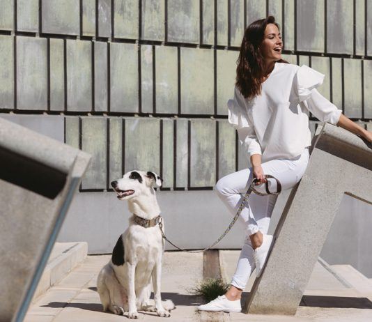 Venta especial de los collares y correas para perros más in del momento BROTT BARCELONA